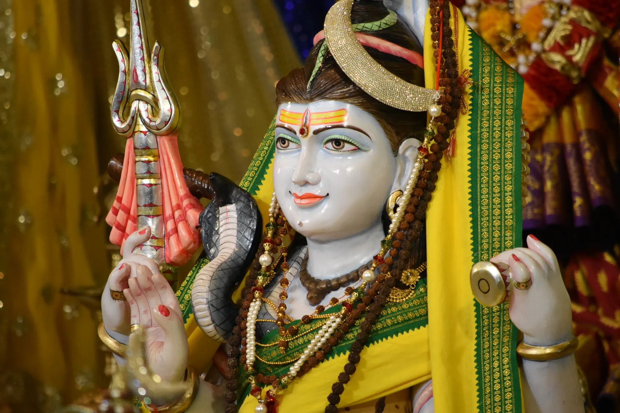 Vasant Panchmi 6
